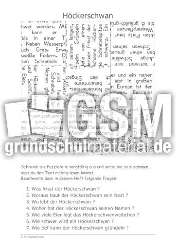 Höckerschwan.pdf
